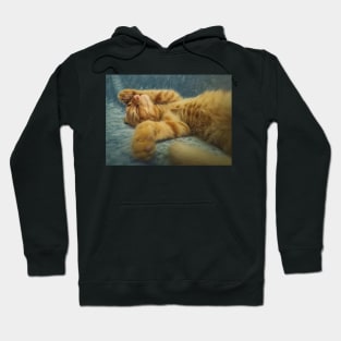 a quick sweet nap Hoodie
